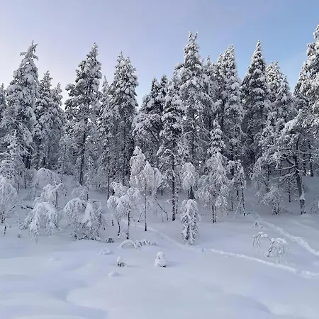 Log House And New Sauna Pikariporras Шале Саариселькя