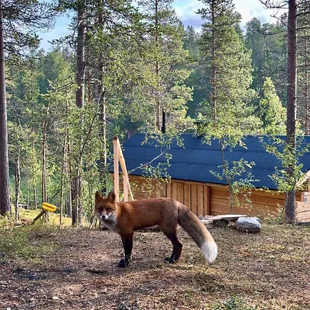 Шале Log House And New Sauna Pikariporras Саариселькя