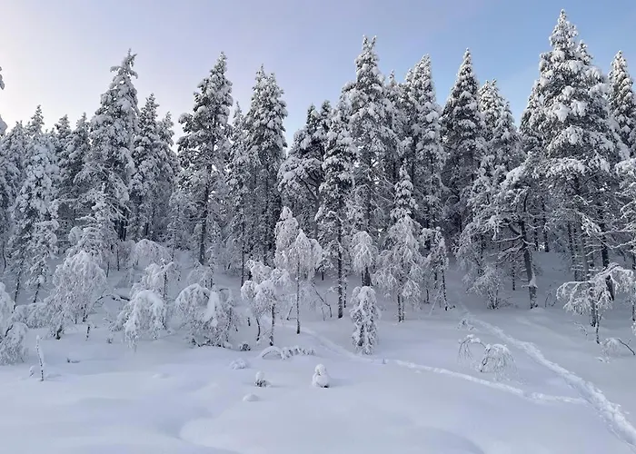 Log House And New Sauna Pikariporras Шале Саариселькя