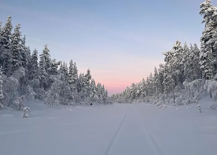 Шале Log House And New Sauna Pikariporras *