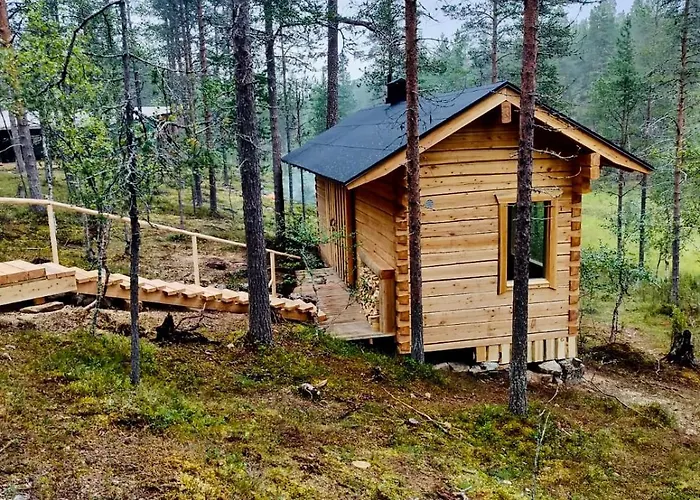 Log House And New Sauna Pikariporras *