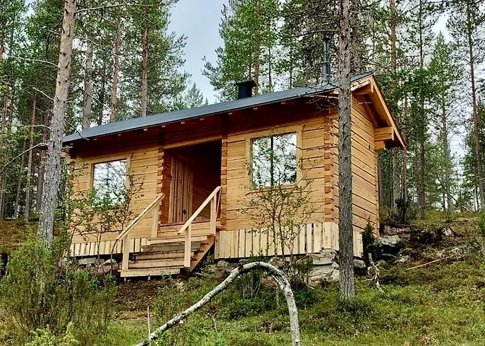 Log House And New Sauna Pikariporras Шале