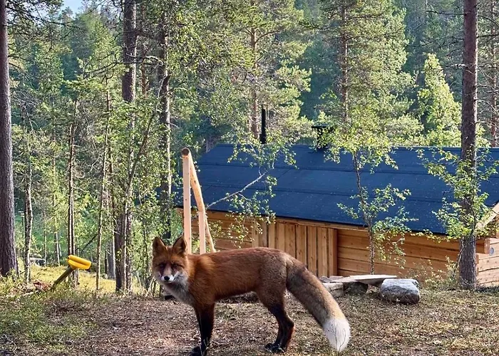 Шале Log House And New Sauna Pikariporras Саариселькя